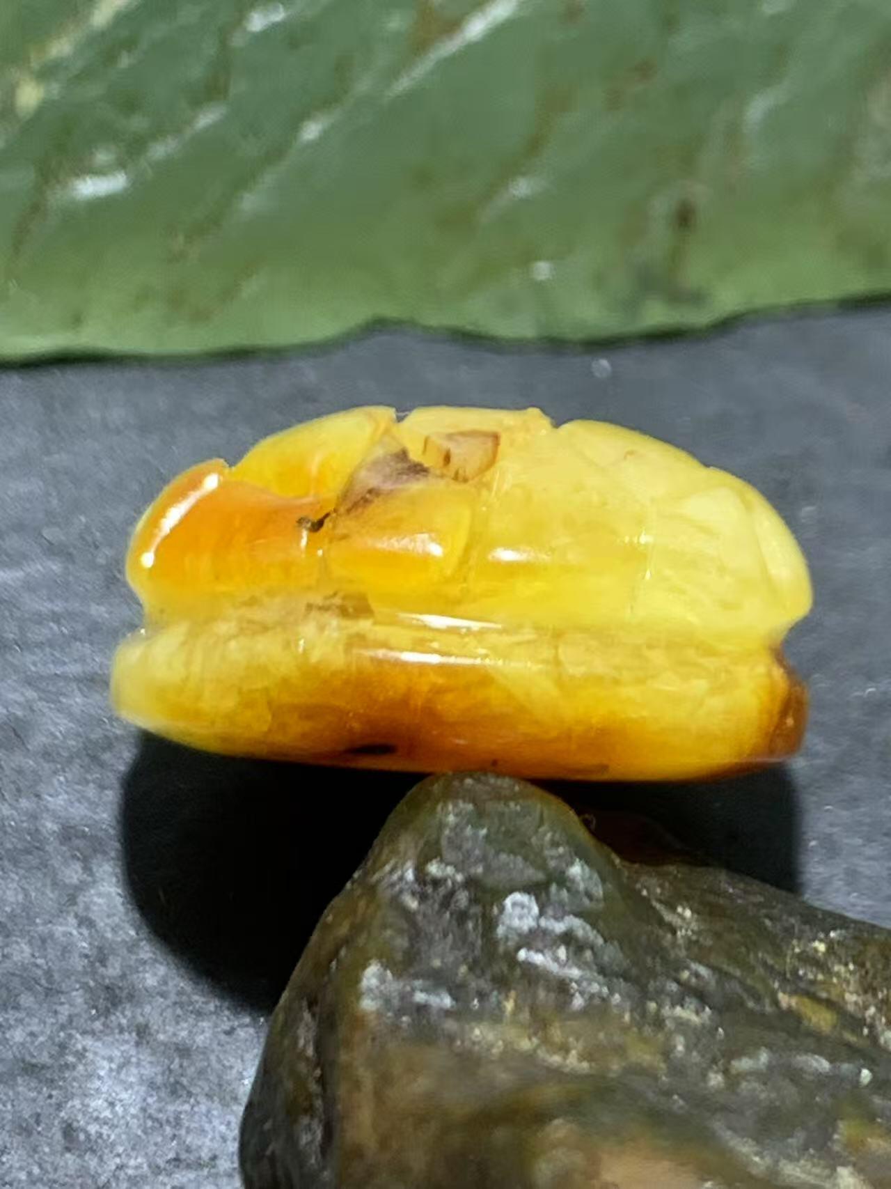 精美天然乌克兰蜜蜡雕刻龟壳寓意，富甲天下，一个，！