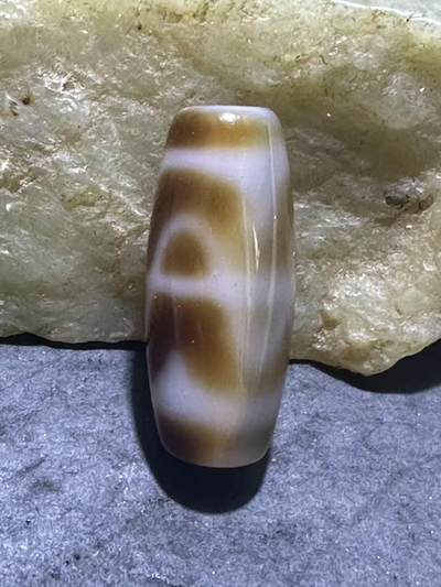 仅此一颗，藏传六瓣莲花虎牙随形天珠一颗 - 仅此一颗，藏传六瓣莲花虎牙随形天珠一颗
