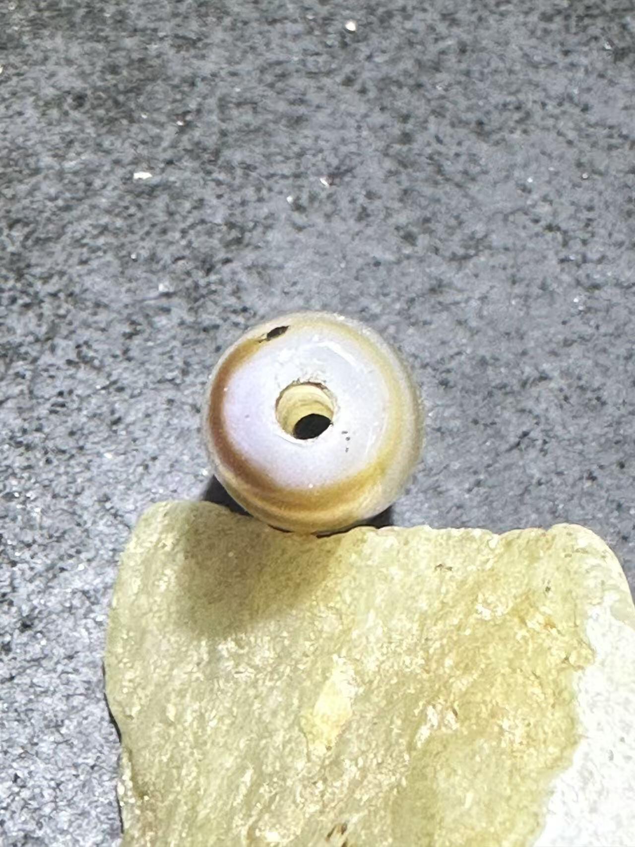 仅此一颗，藏传六瓣莲花虎牙随形天珠一颗