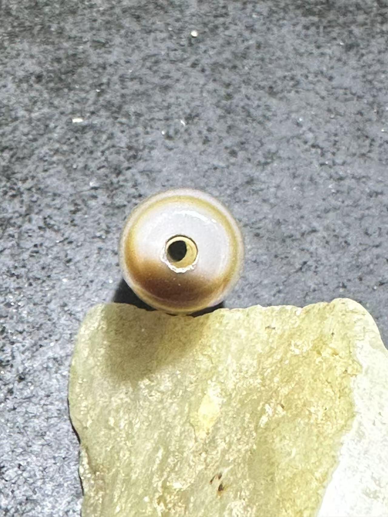 仅此一颗，藏传六瓣莲花虎牙随形天珠一颗