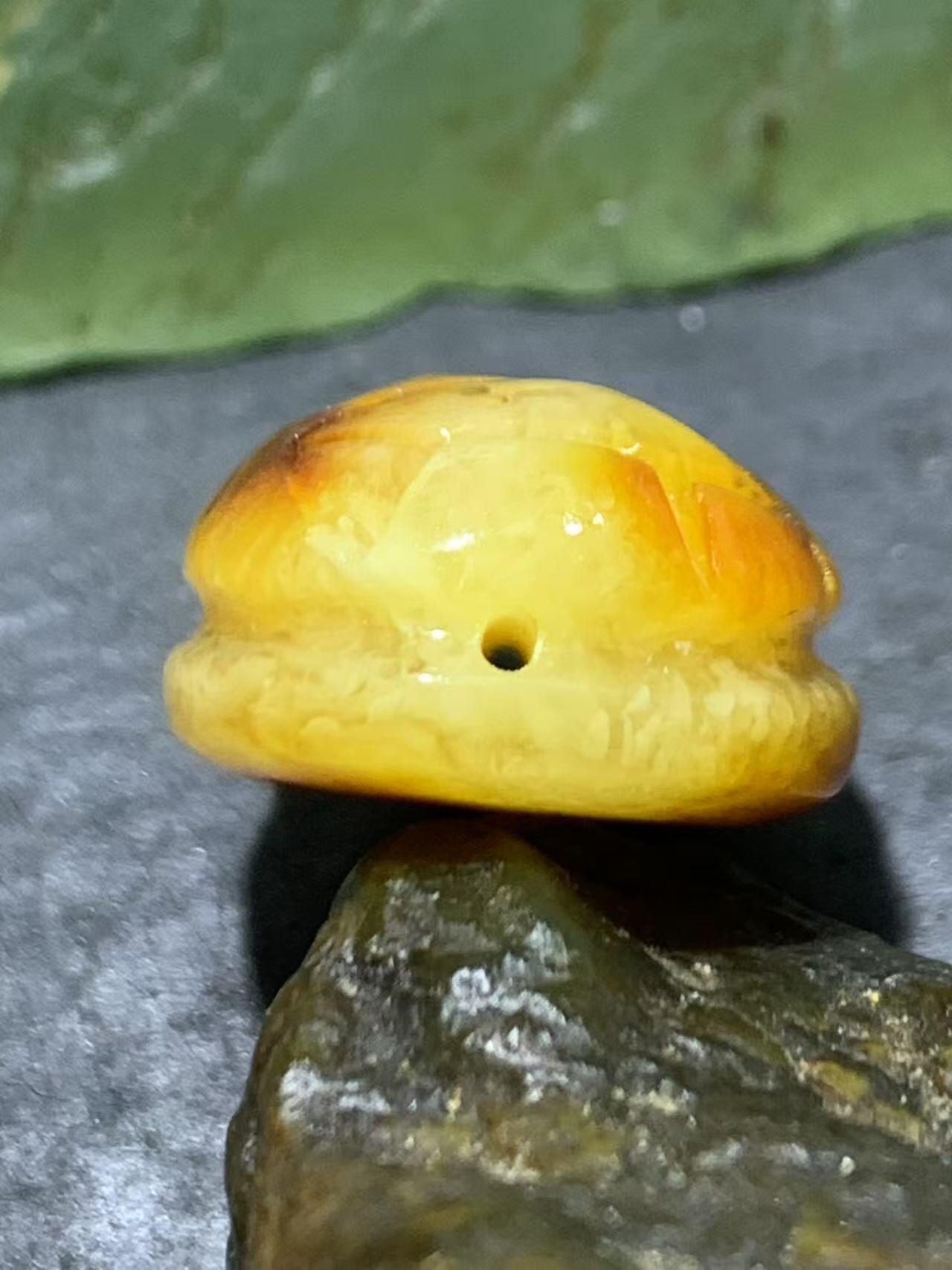 精美天然乌克兰蜜蜡雕刻龟壳寓意，富甲天下，一个，！