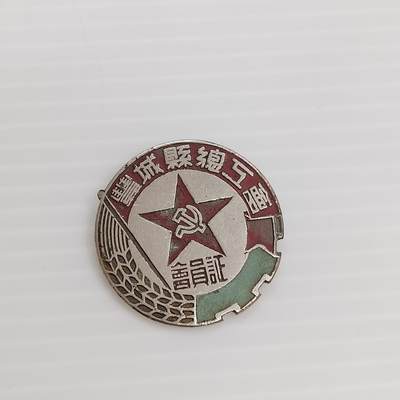 PCAI钱币 7-448  纪念章小专场 - 丰城总工会