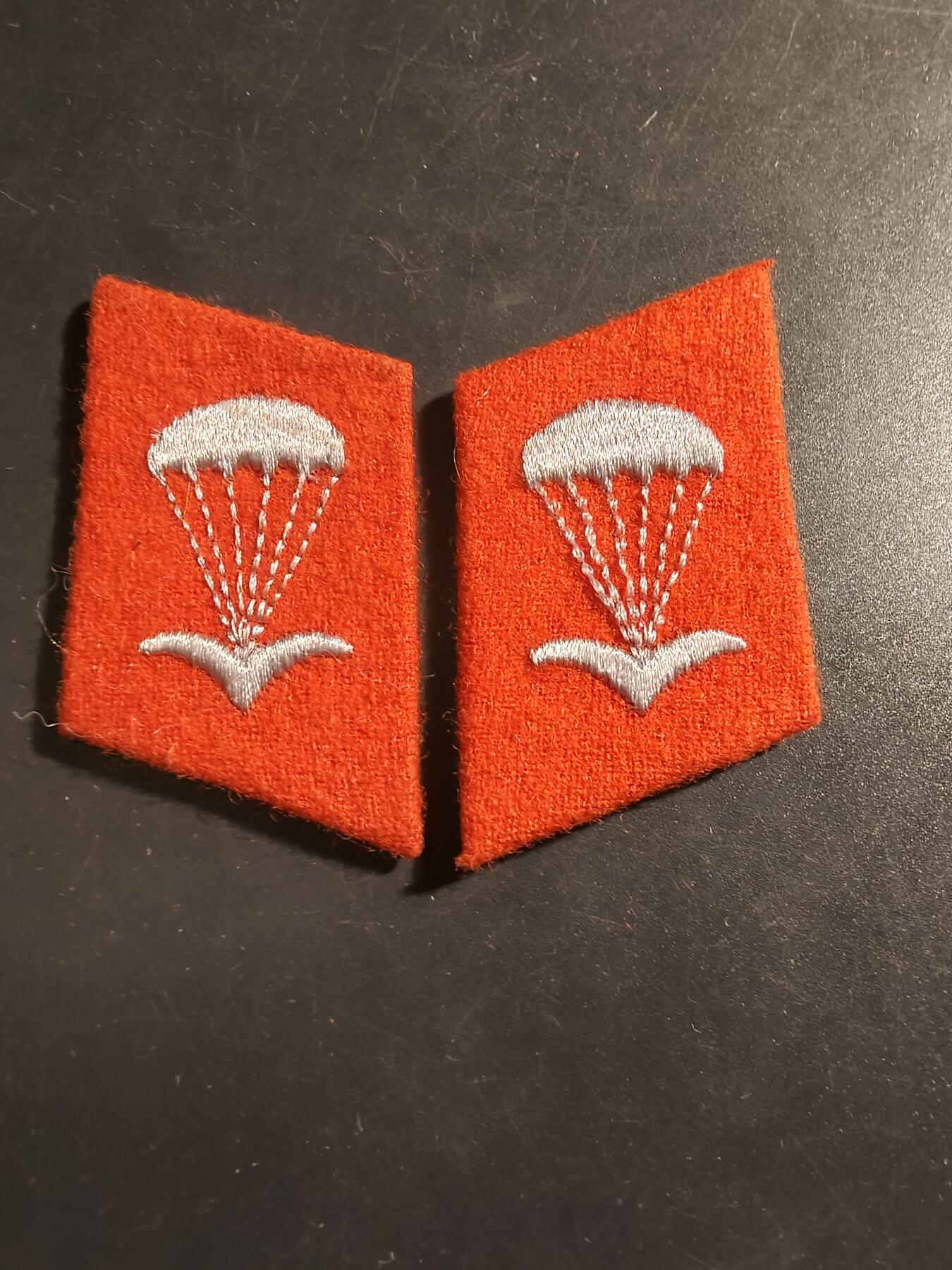 老王徽章第133期 东德空降兵领章