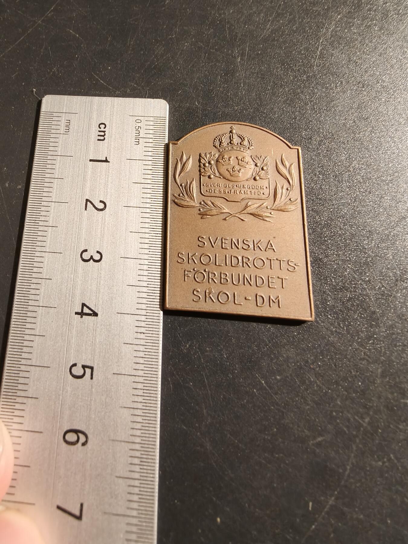 老王徽章第133期 瑞典校园体育联合会大铜章    尺寸39×26mm   重量14.7g