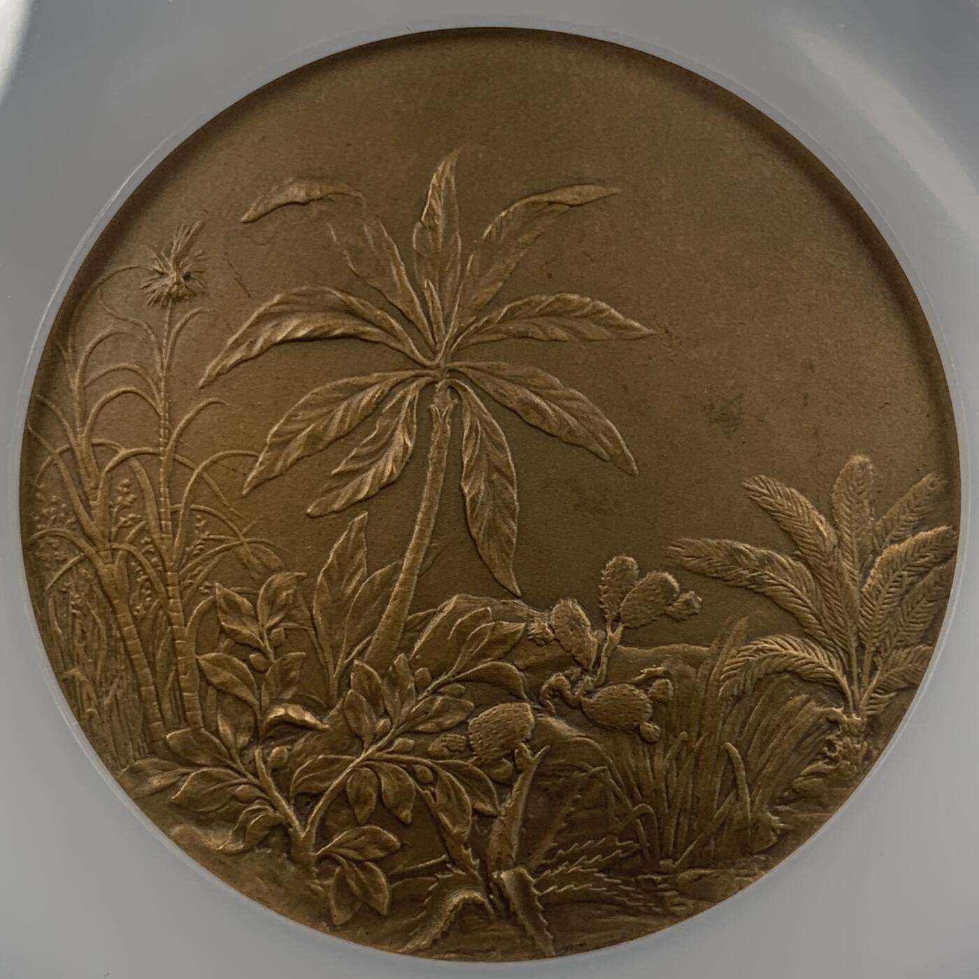 掌中浮雕-藏着的欧洲第031场 NGC MS64 ：1910年法国全球殖民铜奖章 ，68mm， 雕刻家：Lucien COUDRAY  ，Nicolas Maier法国优秀雕刻家作品书#226号