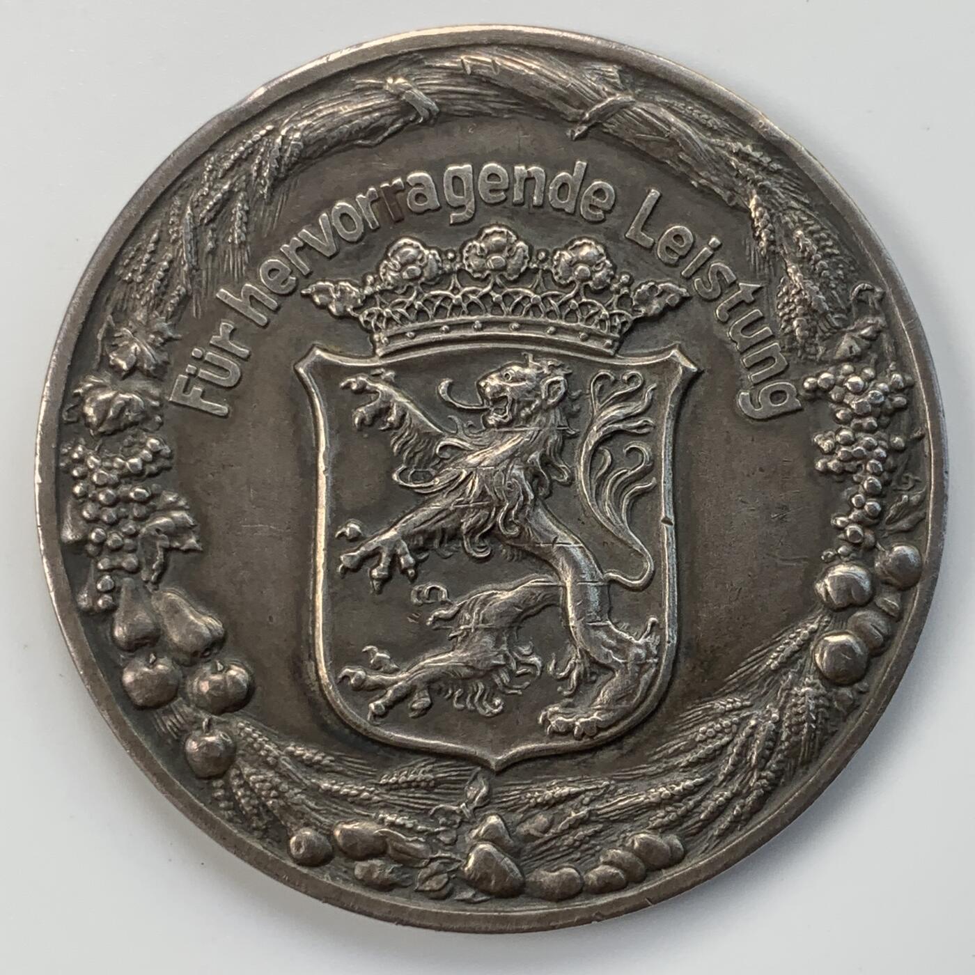 掌中浮雕-藏着的欧洲第031场 1927年德国达姆施塔特农业展览会银奖章，50mm，48g，原盒