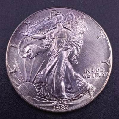 【淘币小摊】实时拍第六百七十九拍 银币套币场  满百包邮可预留二周 每周一统一发货   - 美国1987年行走鹰洋一盎司银币