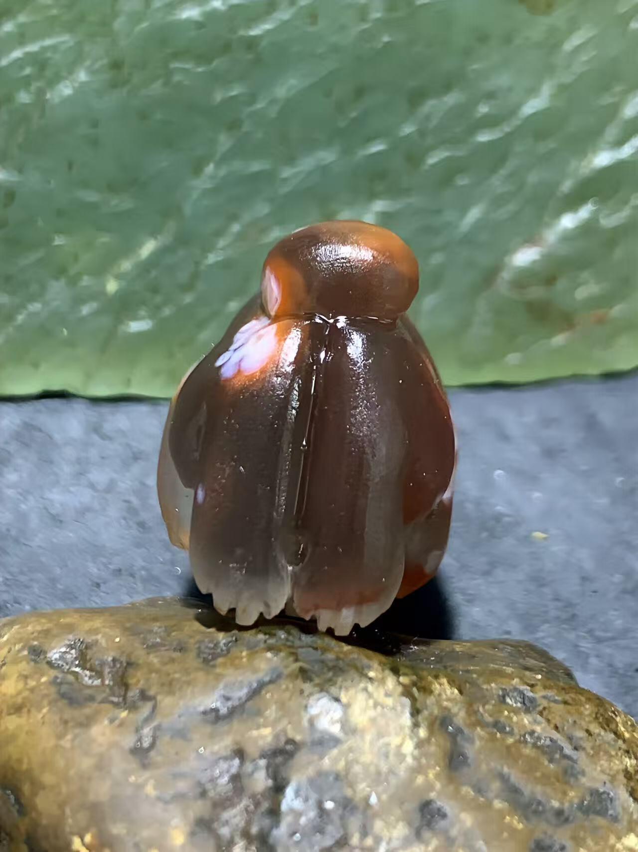 精美亚光罕见黑冻料飘红南红玛瑙手工雕刻鼠来宝吊坠一个，