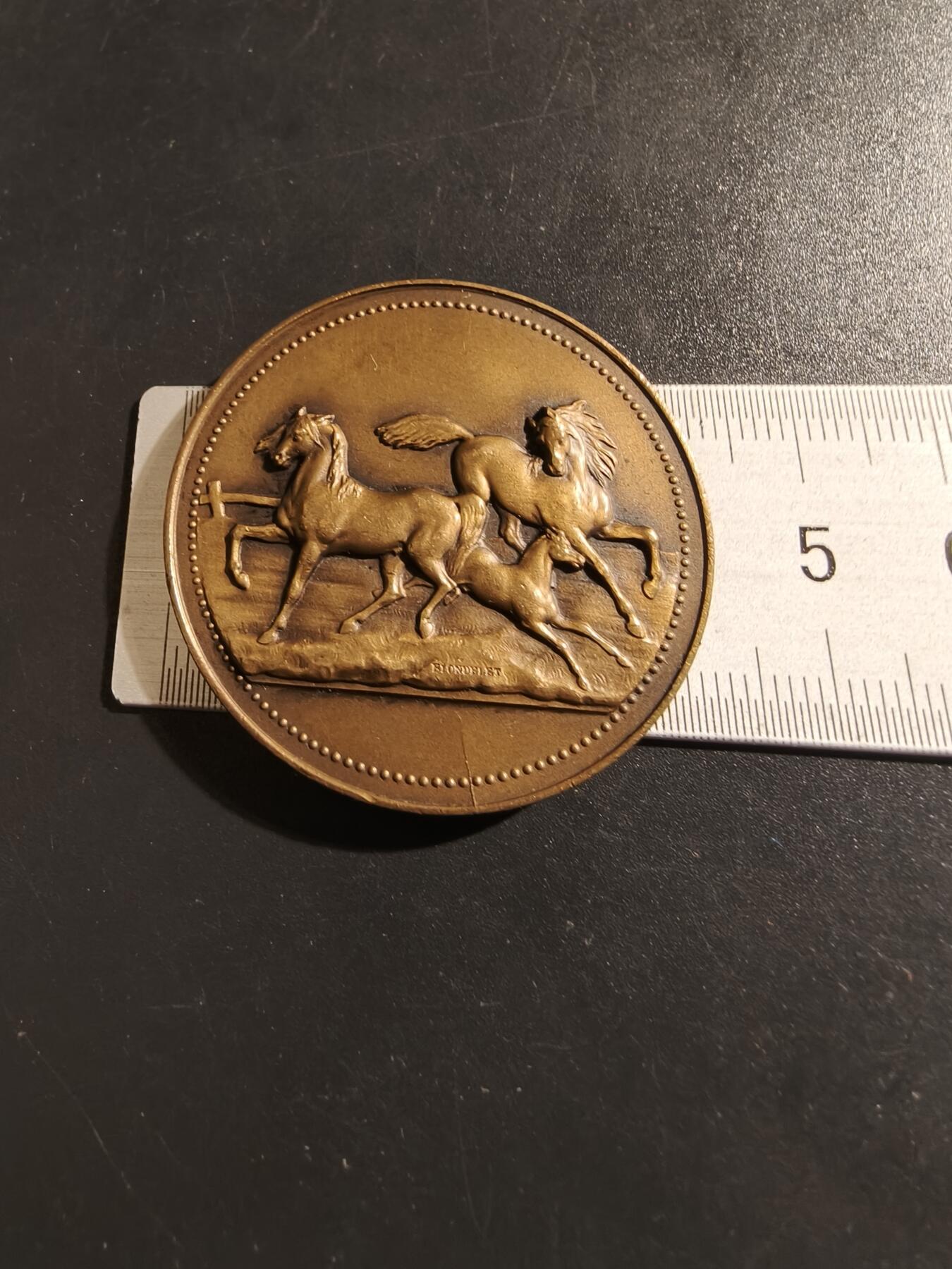 老王徽章第133期 法国农业大铜章   1930年    直径44mm   重量35.9g