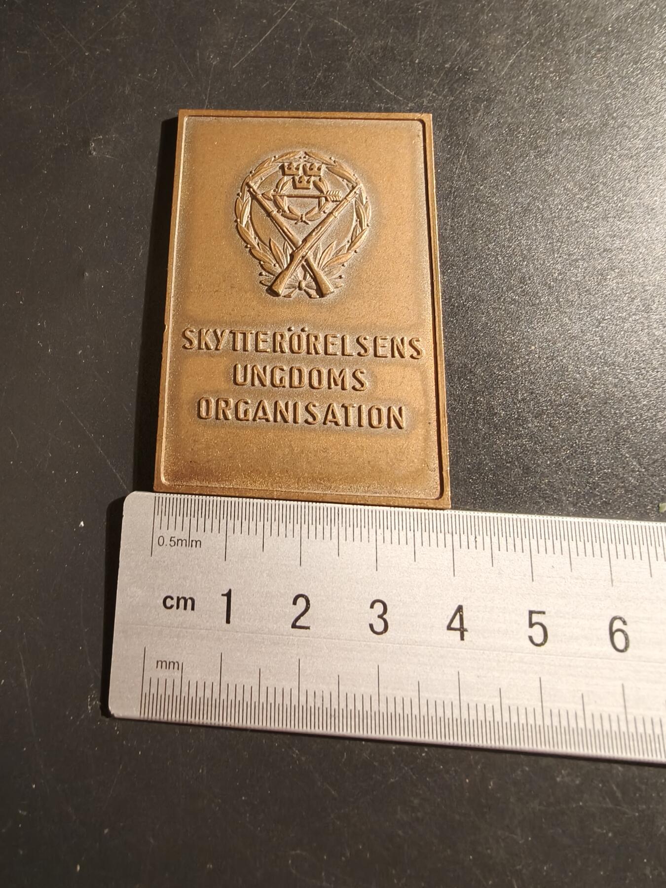老王徽章第133期 瑞典青年射击协会大铜章    1970年    尺寸61×40mm   重量47.6g