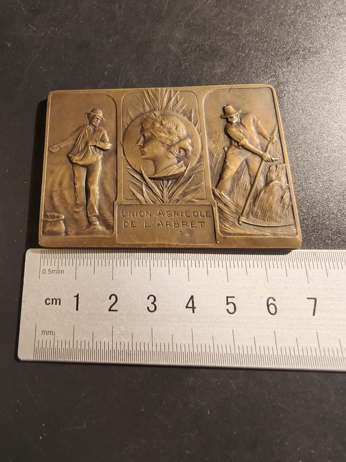 老王徽章第133期 法国农业协会方形大铜章    尺寸69×49mm   重量88.5g