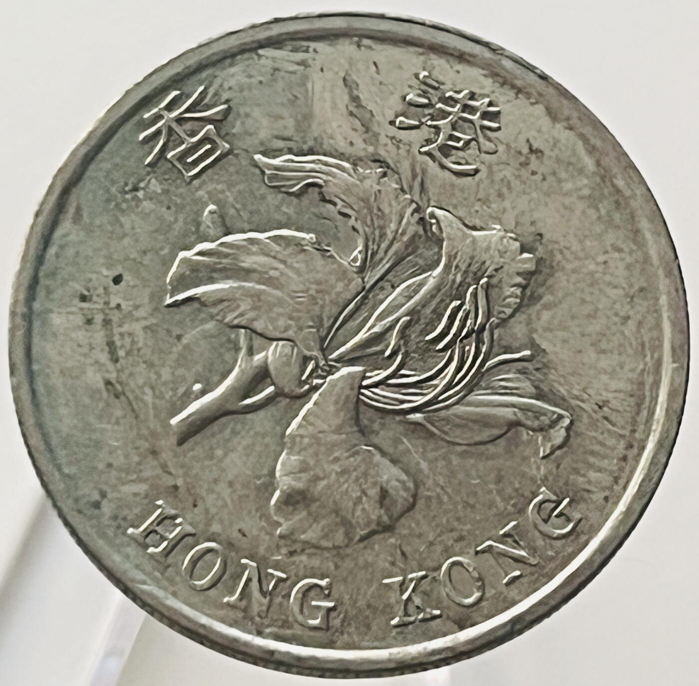 神仙姐姐-中外币专场14