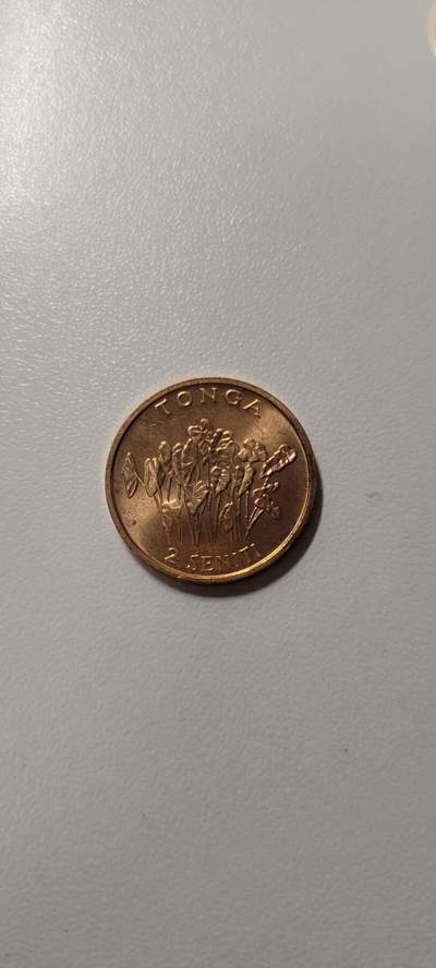 2025第十八期 1991年 汤加2分硬币 