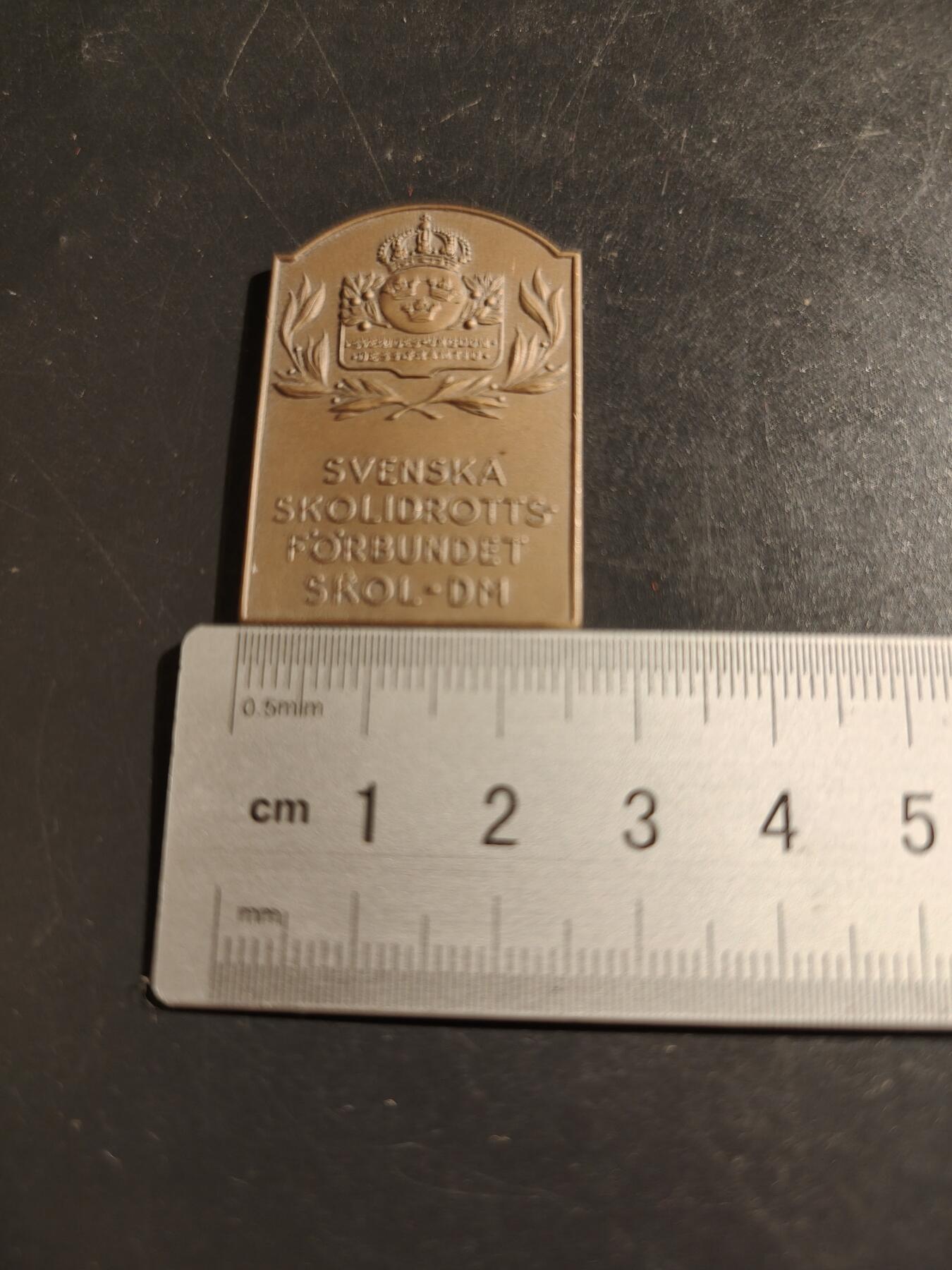 老王徽章第133期 瑞典校园体育联合会大铜章    尺寸39×26mm   重量14.7g