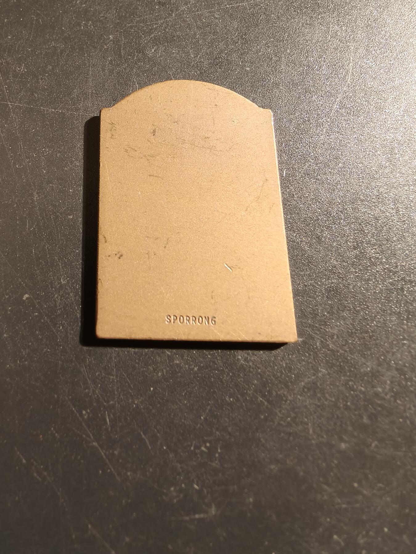 老王徽章第133期 瑞典校园体育联合会大铜章    尺寸39×26mm   重量14.7g