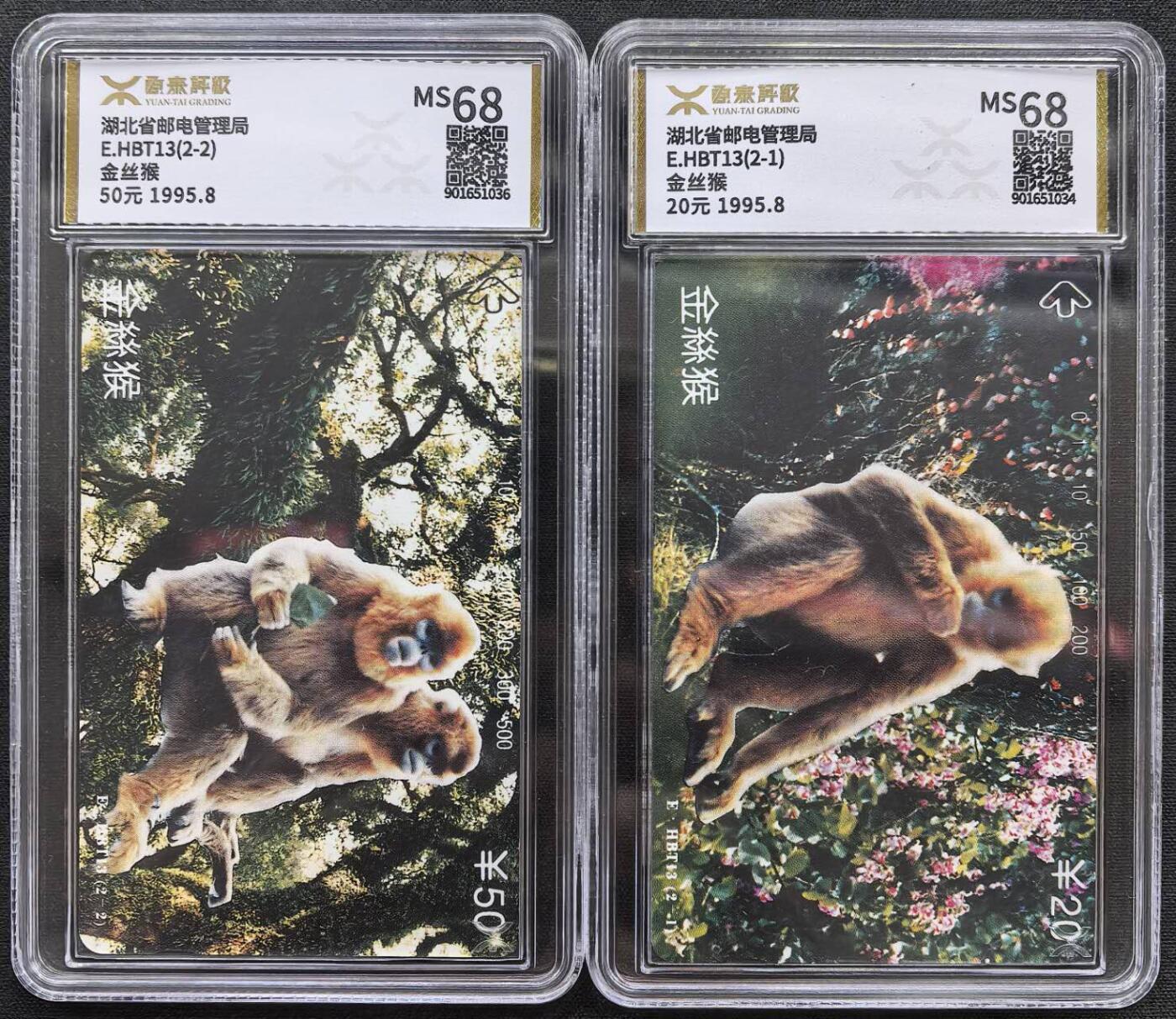 中国集卡电话磁卡源泰评级专场拍卖(一)