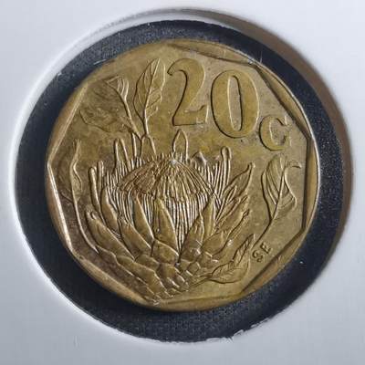 沼泽如烟--第773场 - 南非1995年20分