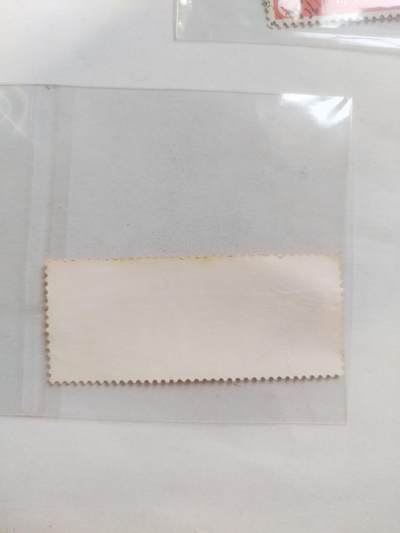 邮票专场 毛主席最新指示。