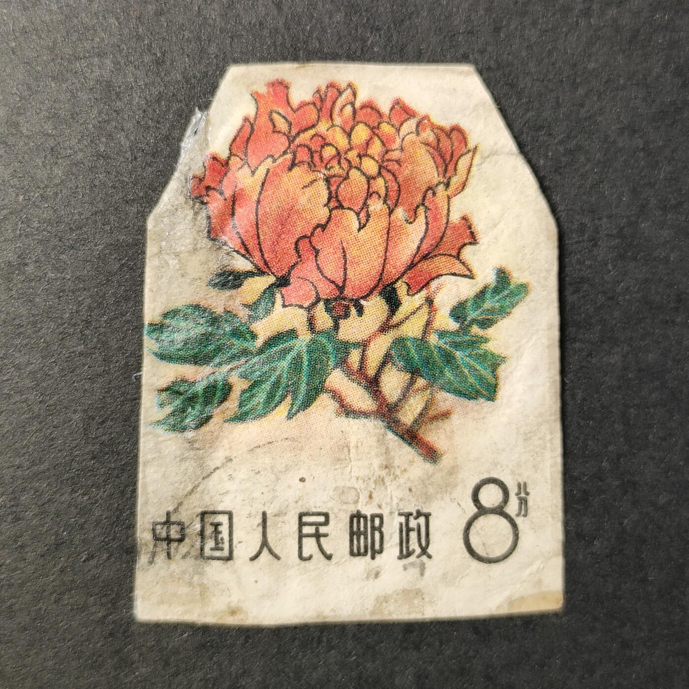 嘉禾收藏    【第247期】            无佣金、可寄存、满30元包邮 邮资封剪片