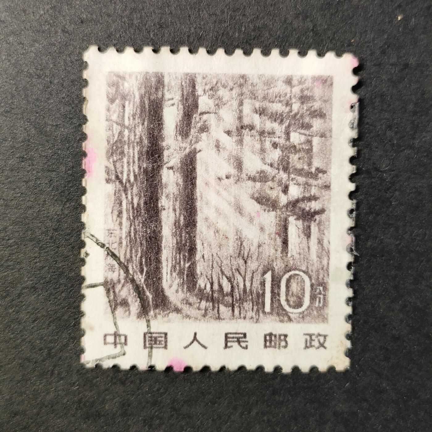 嘉禾收藏    【第247期】            无佣金、可寄存、满30元包邮 邮票一枚
