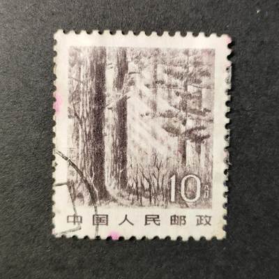 嘉禾收藏    【第247期】            无佣金、可寄存、满30元包邮 - 邮票一枚