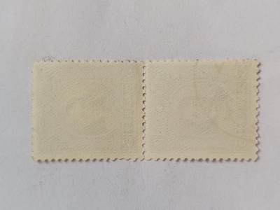 邮票专场 孙中山像邮票五分。两连。