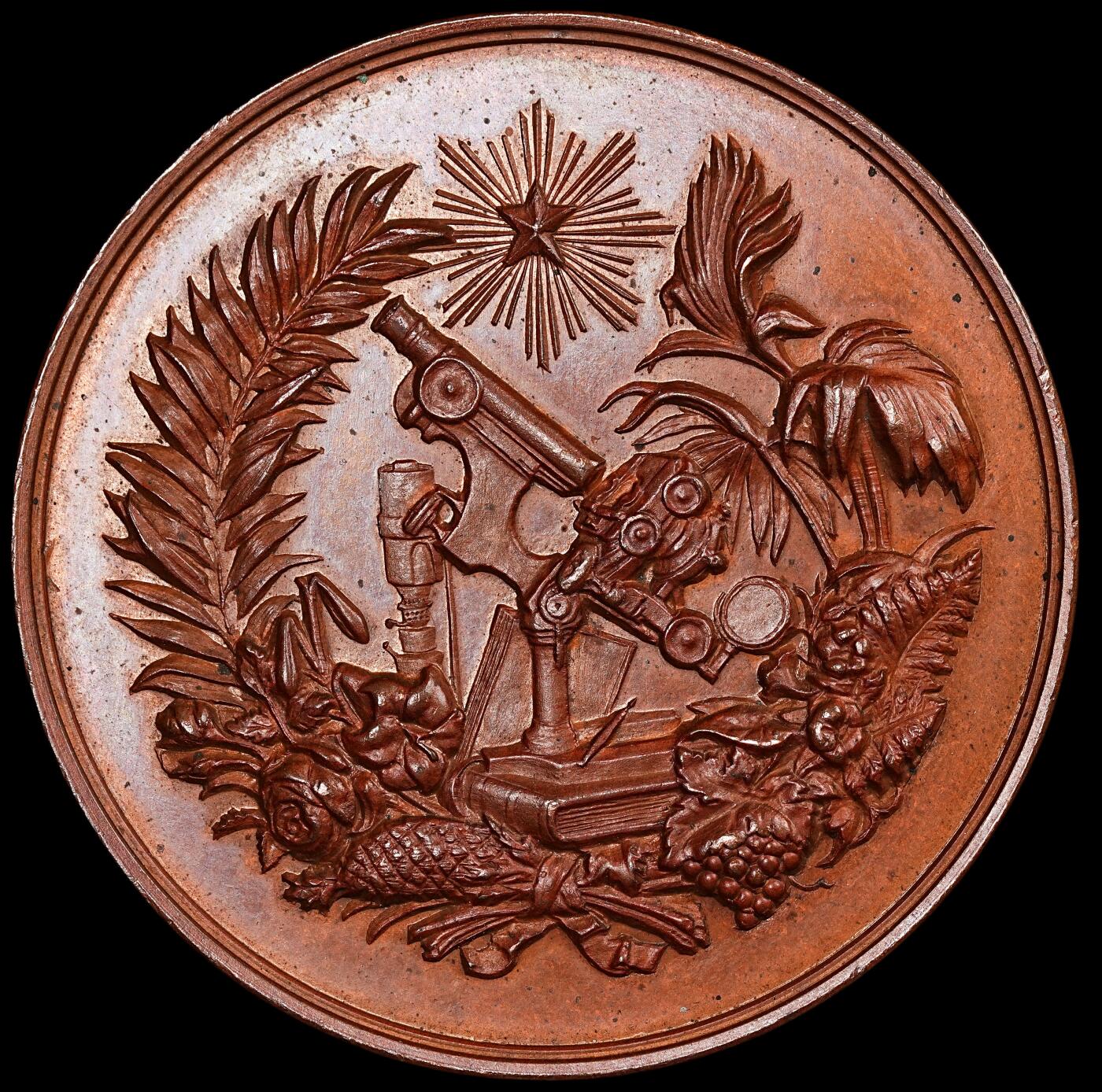 修遠堂世界钱币第七十七期 1891年安特卫普博览会红铜章 50.40mm，55.63g MS64级别品相
