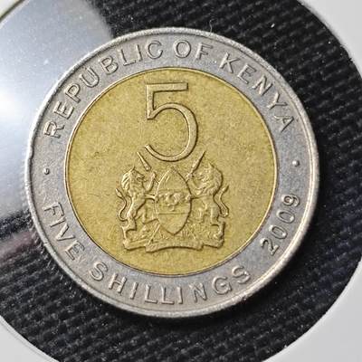 KK钱币收藏小铺 第306期 2月预留时间 周末发货 -  2009肯尼亚5先令双色币