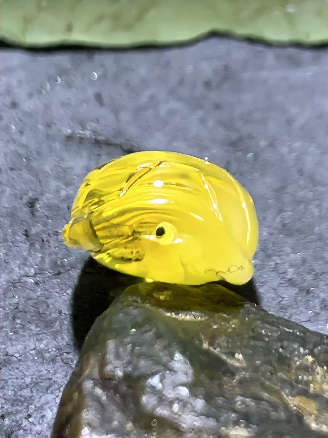 精美天然乌克兰蜜蜡雕刻龟壳寓意，富甲天下，一个，，
