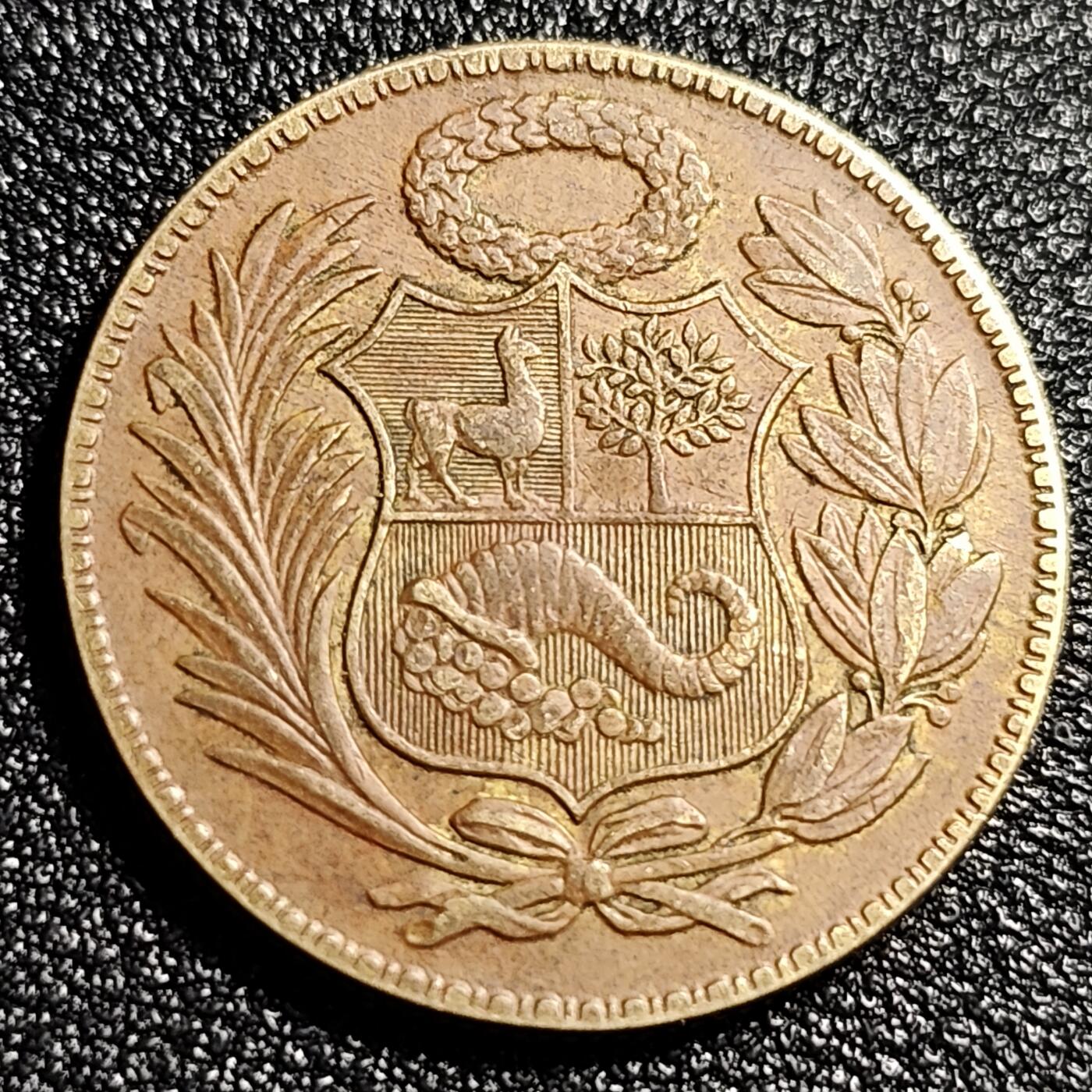 泉币菌-第48场-散币捡漏场 年份少见 二战期间秘鲁1944年1/2索尔 骆马 金鸡纳树 羊角 黄铜币 硬币 27.1mm
