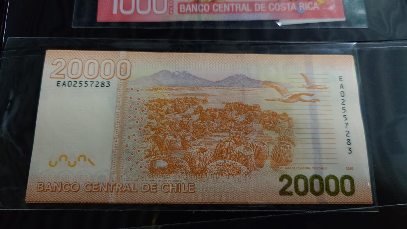 世界钱币～微拍第190期暨2025年第29期  继续清理库存 2020年智利20000比索 全新绝品无4尾号283