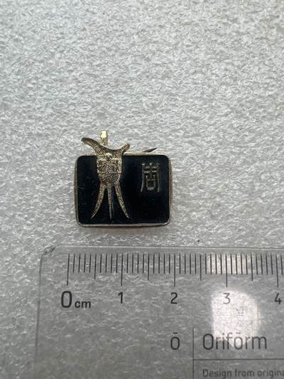 真品像章、纪念章、徽章 - 旅游纪念章