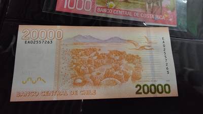 世界钱币～微拍第190期暨2025年第29期  继续清理库存 2020年智利20000比索 全新绝品无4尾号263