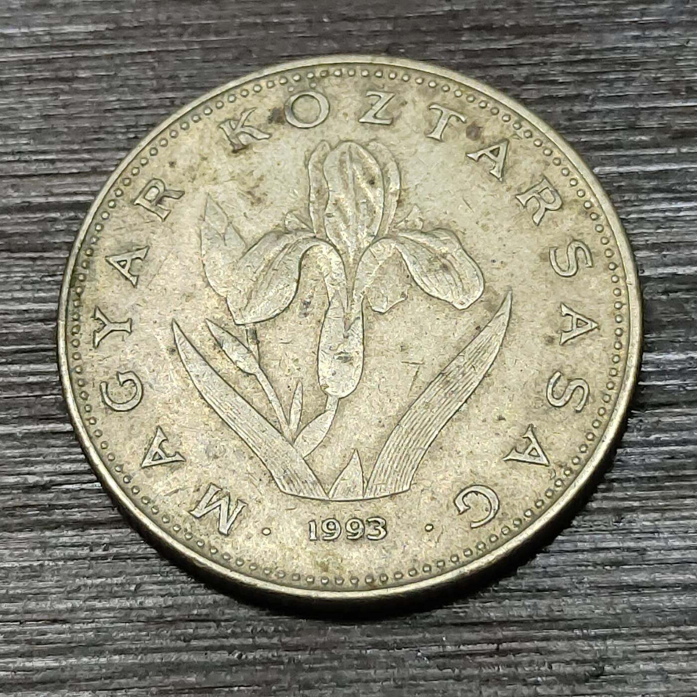 【铜匠收藏】★第125场★散币场，无佣金，30包邮。不满30元，支付5元运费。《接受代拍 代送NGC评级》 1993年 匈牙利 20福林 铜币