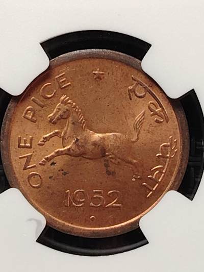 布加迪🐬～世界钱币(上海)🌾第 226 期 /  各国套币和散币 - 评级币NGC~MS64 印度🇮🇳