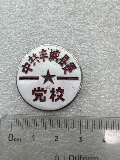 真品像章纪念章 - 丰城县纪念章