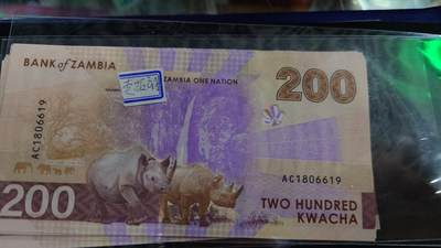 世界钱币～微拍第190期暨2025年第29期  继续清理库存 2024年赞比亚200 全新绝品无47倒置号6619