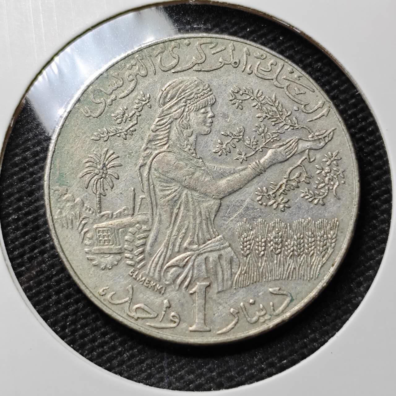 KK钱币收藏小铺 第307期 2月预留时间 周末发货