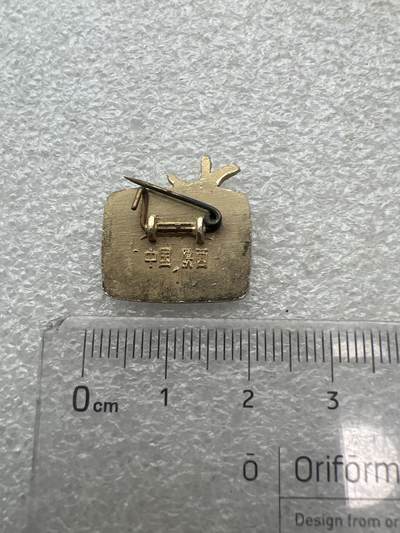 真品毛主席像章、纪念章 旅游纪念章