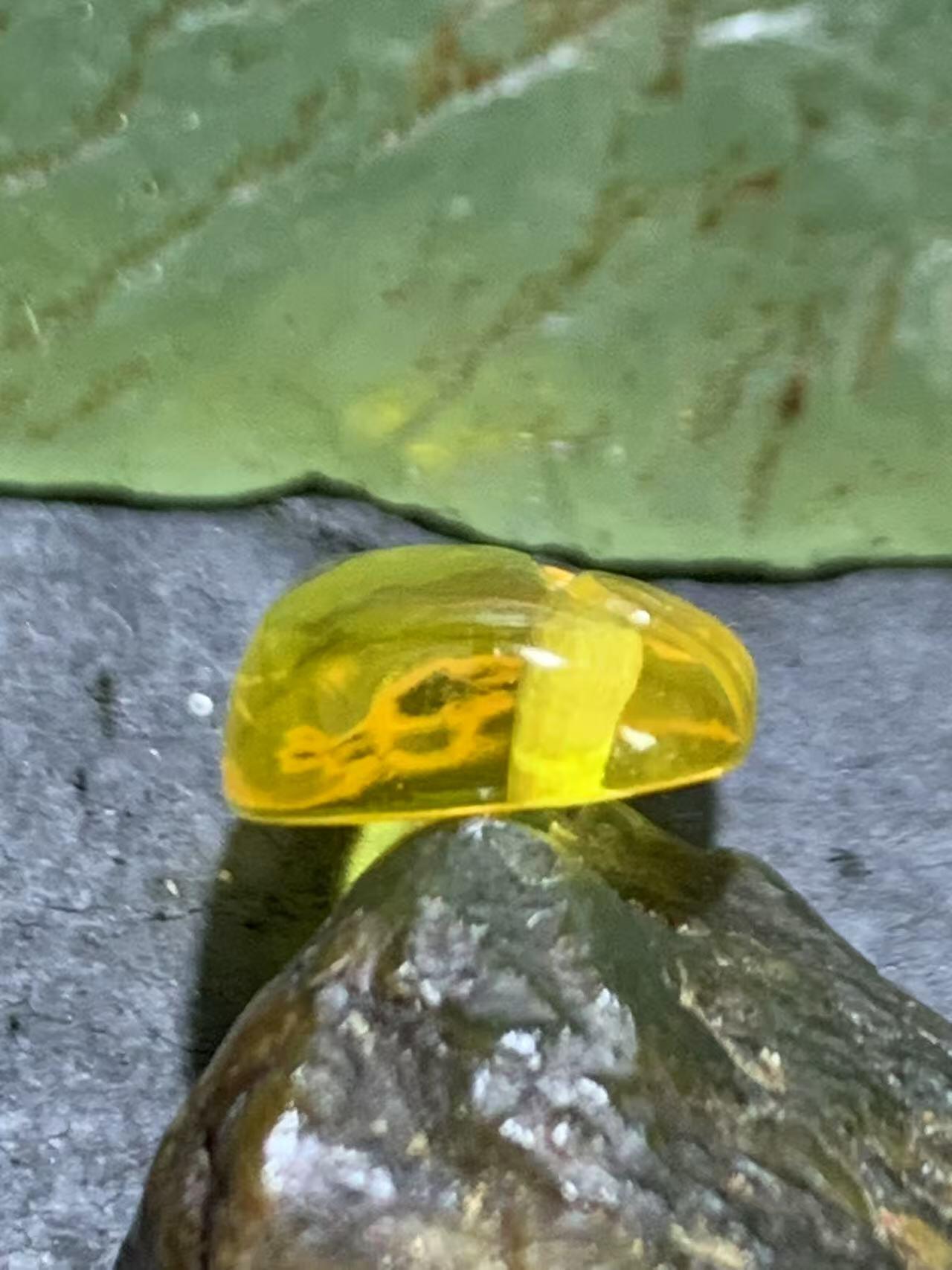天然乌克兰蜜蜡雕刻梳子小吊坠一个，
