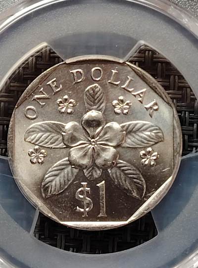 布加迪🐬～世界钱币(上海)🌾第 226 期 /  各国套币和散币 - 评级币PCGS~MS66 新加坡🇸🇬