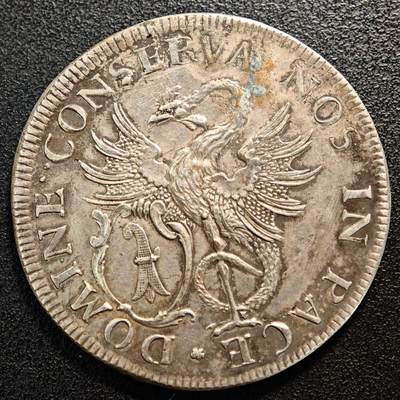 【德藏】世界币章拍卖第137期（拍品征集中~欢迎藏友联系） - 近代仿景观老泰勒 材质未知 直径约：46.3mm；重约：37.4g