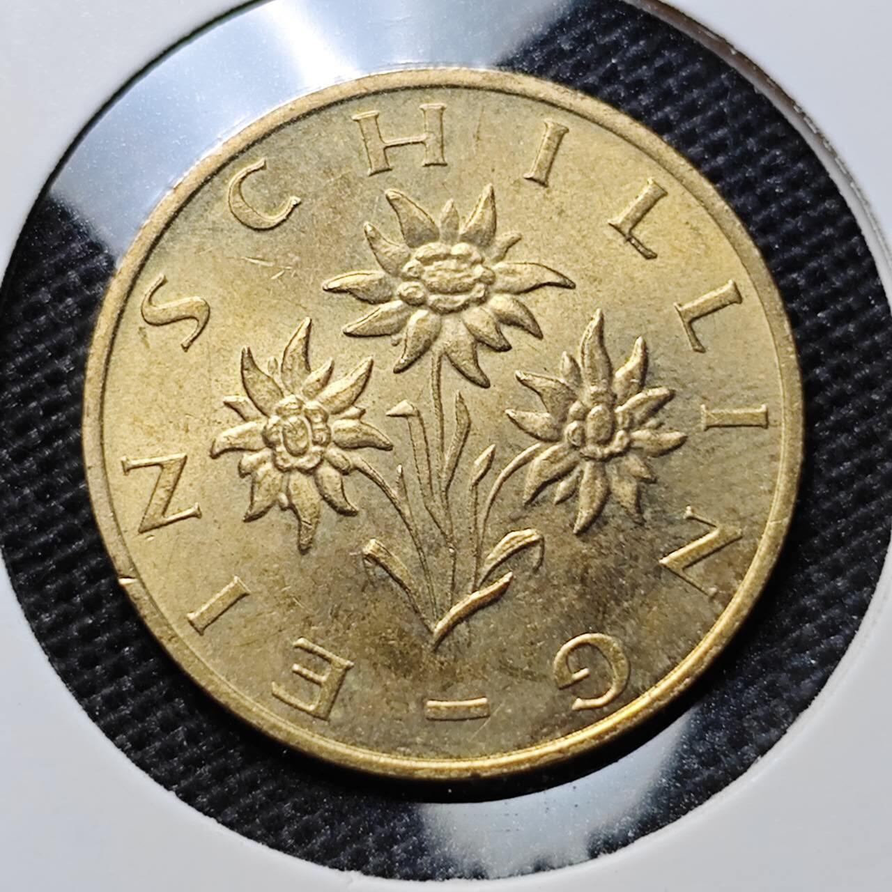 KK钱币收藏小铺 第307期 2月预留时间 周末发货