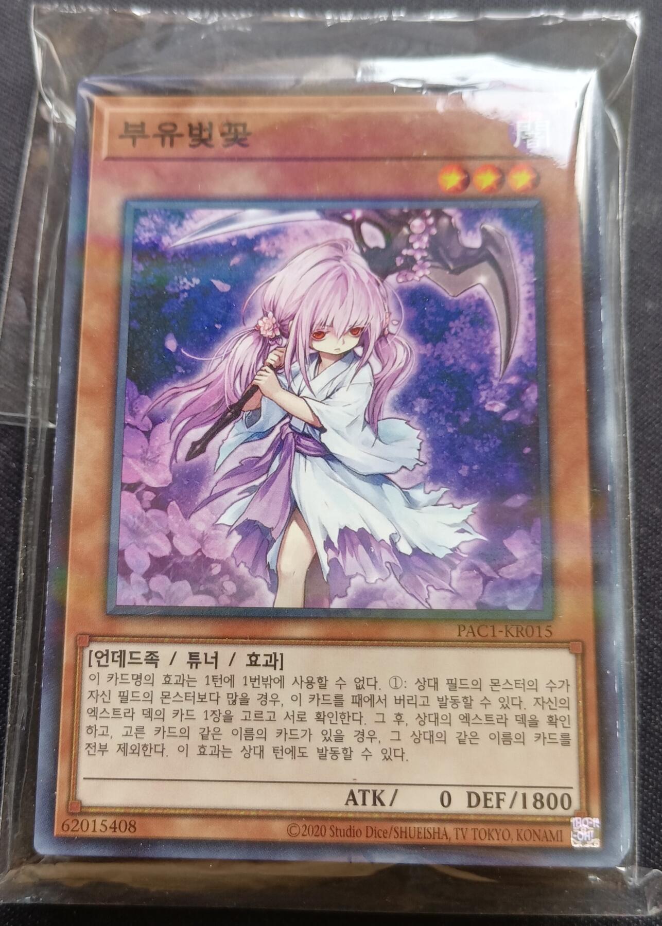 【游宝拍卖】乙巳蛇年55期 周四集拍
