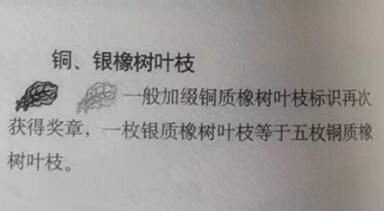 小驴勋章奖章收藏7月12日星期六晚18点拍卖（有偿代拍送拍规则在简介最后，参拍须阅读规则后再参拍，关系到运费包装发货时效真假辨别等关键信息） 美国空军嘉奖奖章，带盒带略带珐琅略（章略背打GI标），带二次获得铜橡叶勋饰