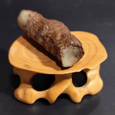 希腊罗马丝路打制币化石【中外钱币放漏】专场！陆小鱼的钱币仓，限时拍卖第069场 - 玉化非常好的羊角单体珊瑚化石 表面带红色围岩 造型好 4.5亿年前奥陶纪时期海洋古生物化石标本25g（0元起拍科普标本，假一罚十）