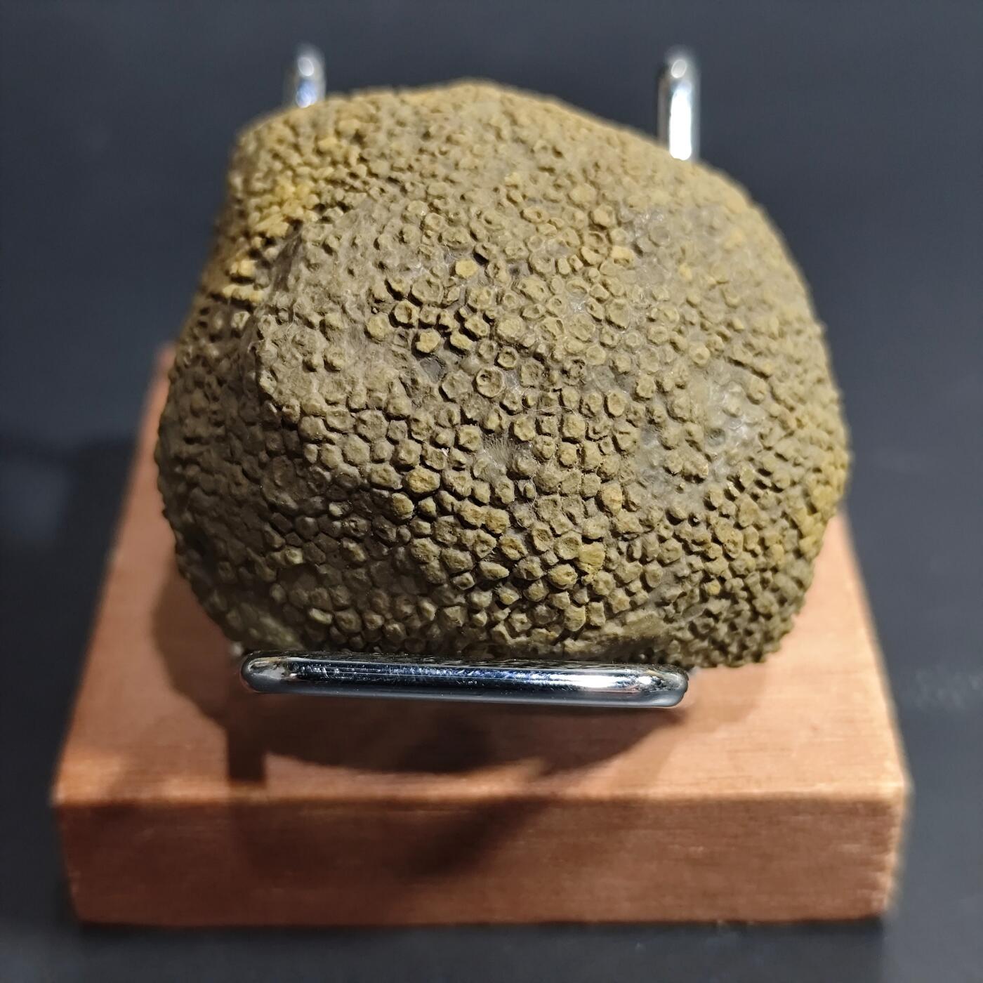 希腊罗马丝路打制币化石【中外钱币放漏】专场！陆小鱼的钱币仓，限时拍卖第069场