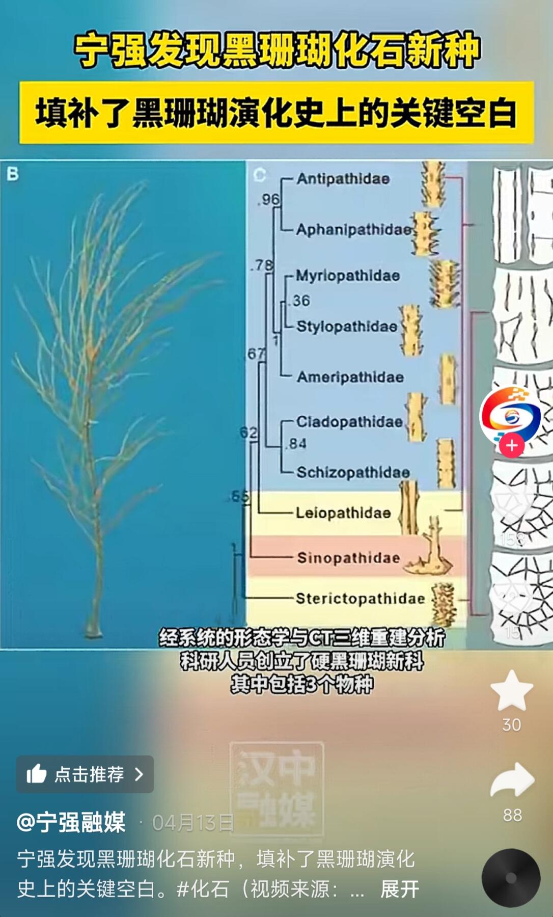 希腊罗马丝路打制币化石【中外钱币放漏】专场！陆小鱼的钱币仓，限时拍卖第069场