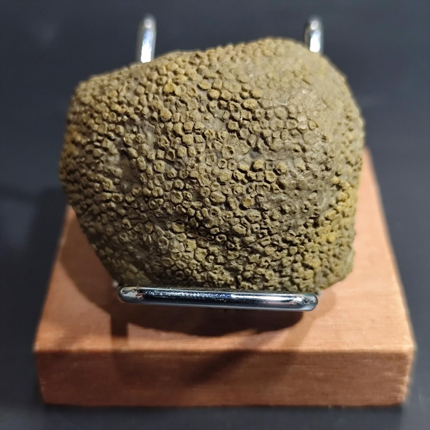 希腊罗马丝路打制币化石【中外钱币放漏】专场！陆小鱼的钱币仓，限时拍卖第069场