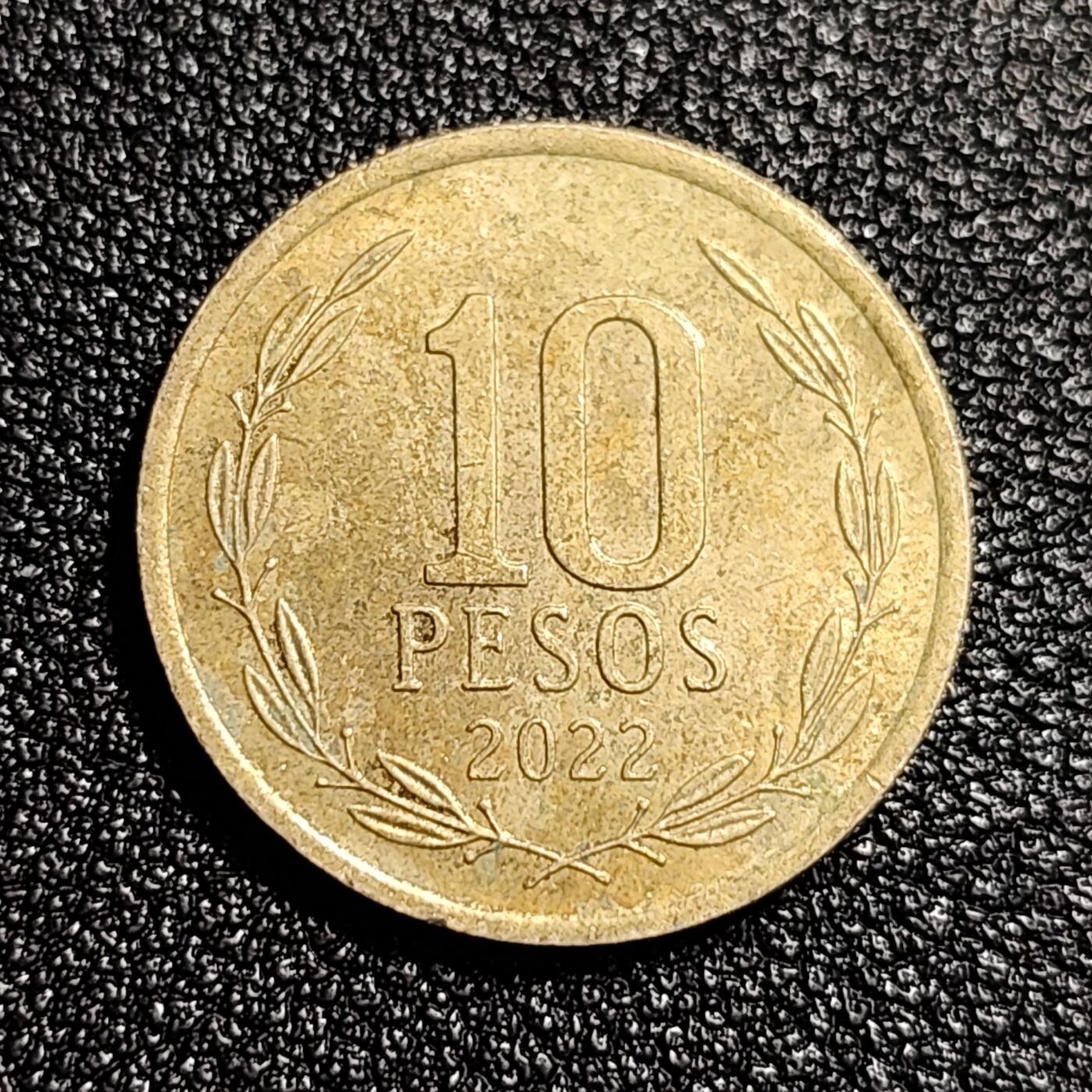 泉币菌-第49场-周末精品场 智利 10比索 国父奥希金斯将军 铝青铜币 21mm